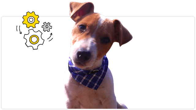 Portrait of Oggin (dog), project supervisor and mood manager at Marketing Puzzle, a creative marketing agency.