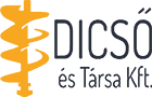 Logo of Dicső és Társa Kft., content marketing partner of Marketing Puzzle. The company offers reliable, professional and high-quality services.